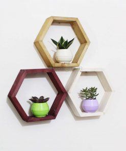 Wood frame Planter