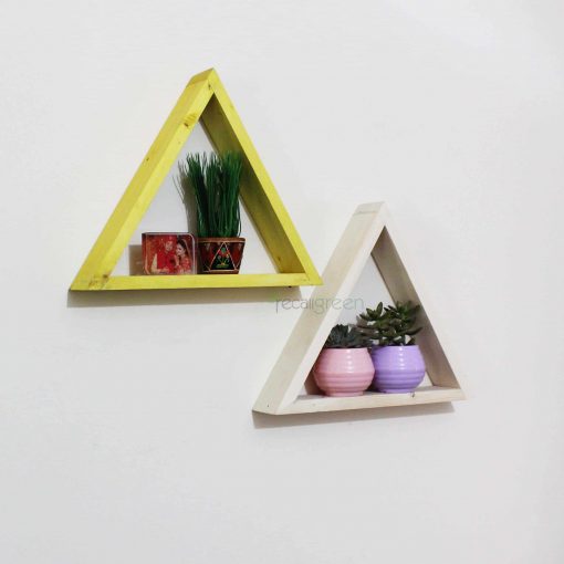 Wood frame Plante