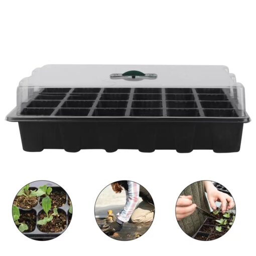 Seed Germination box tray (3 In One )