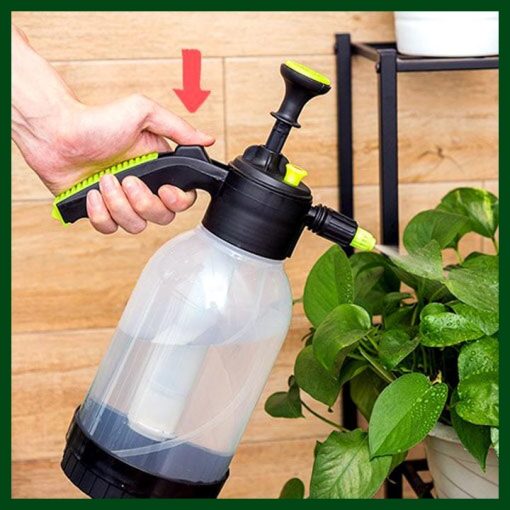 Transparent Water Sprayer (2 litter) - Image 3