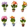 Hand Made Flower Fridge Magnet